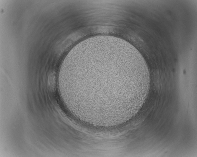 X0000057060016200509231544