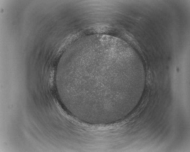 X0000057060018200509231544