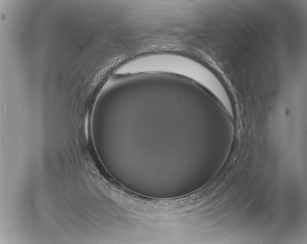 X0000057060019200509231544