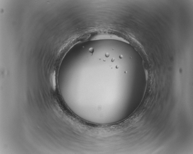 X0000057060020200509231544