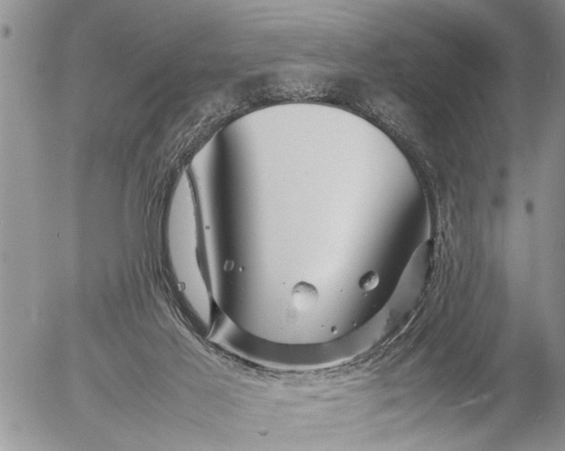 X0000057060021200509231544