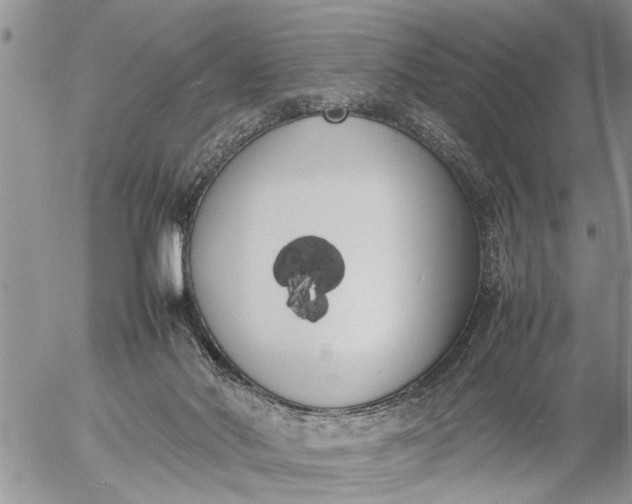 X0000057060022200509231544