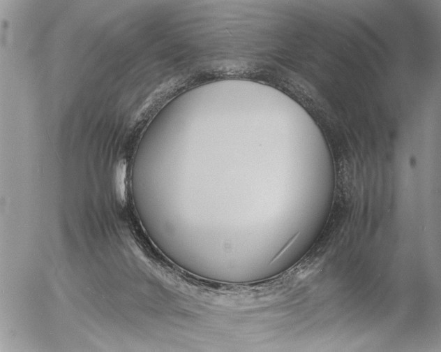 X0000057060024200509231544