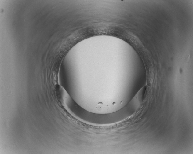 X0000057060025200509231544