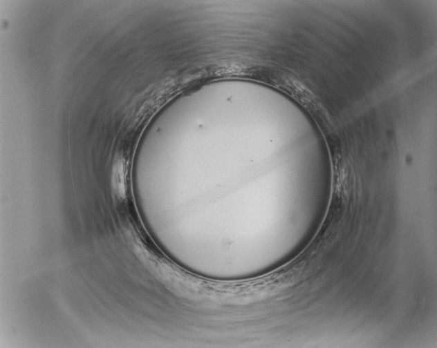 X0000057060026200509231544