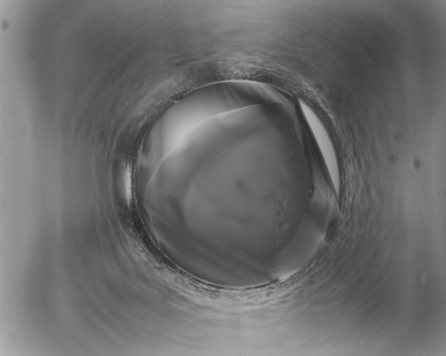 X0000057060027200509231544