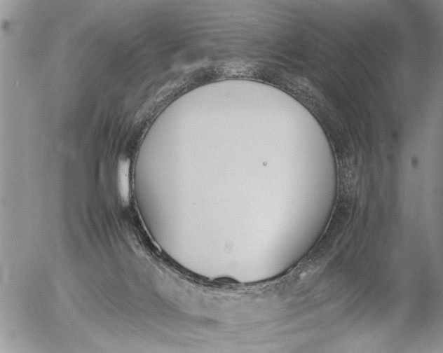 X0000057060028200509231544