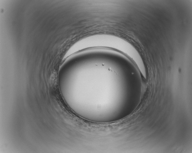 X0000057060029200509231544