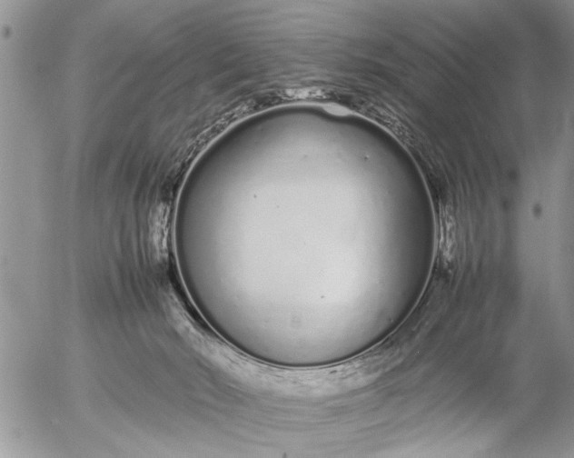 X0000057060030200509231543