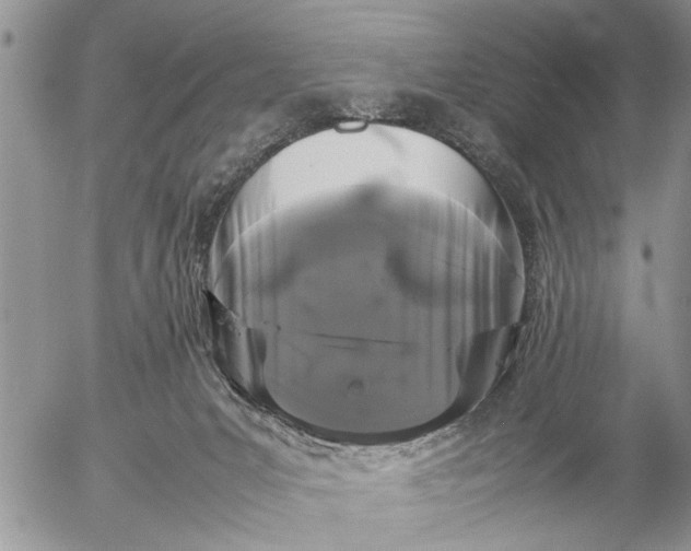 X0000057060031200509231543