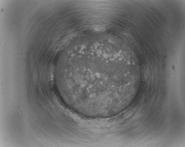 X0000057060032200509231543