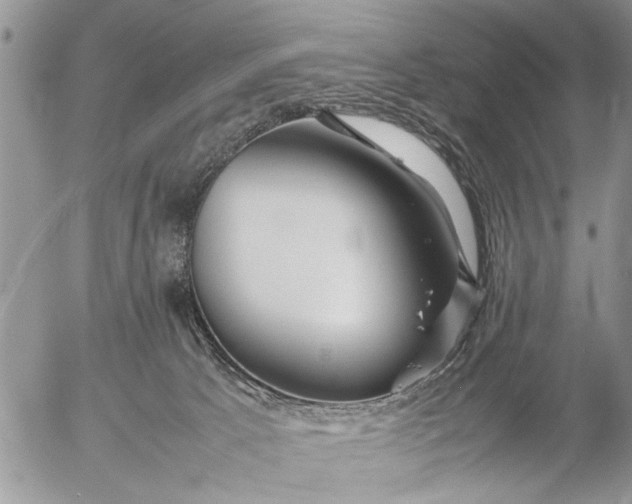 X0000057060033200509231543