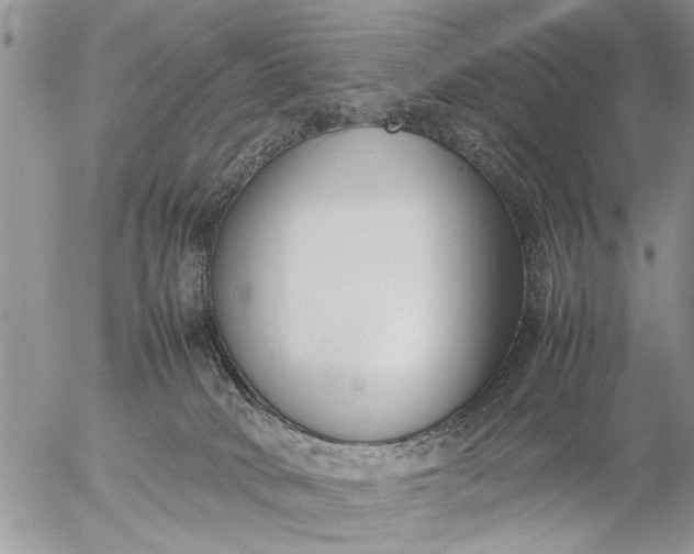 X0000057060034200509231543