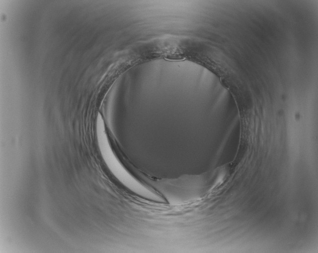 X0000057060035200509231543