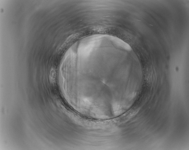 X0000057060036200509231543