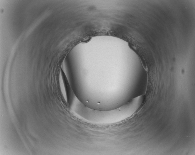 X0000057060037200509231543