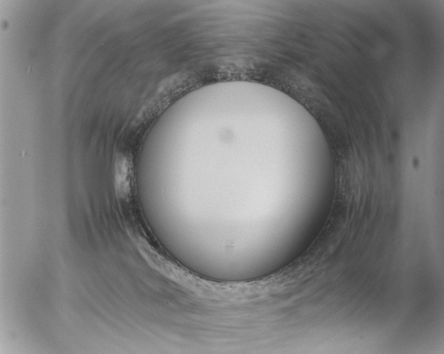 X0000057060038200509231543