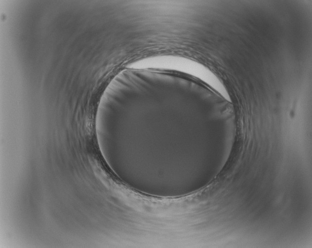 X0000057060039200509231543