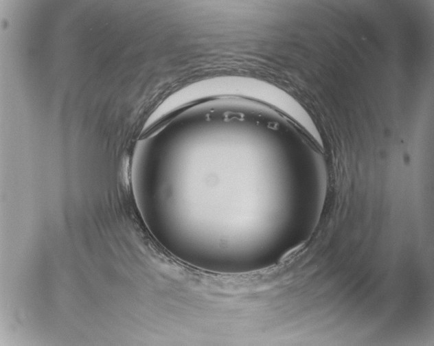 X0000057060041200509231543