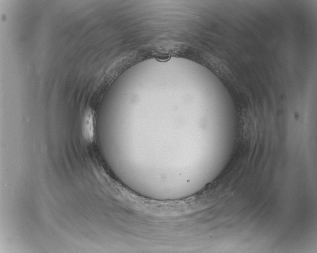 X0000057060042200509231543