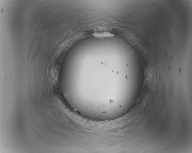 X0000057060043200509231543