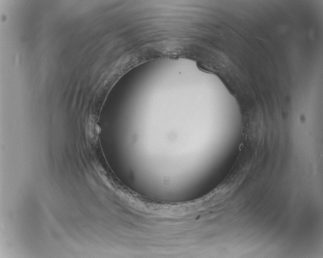 X0000057060044200509231543