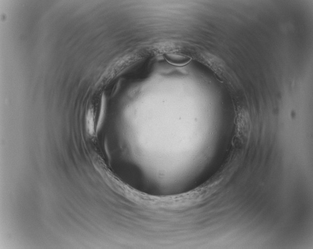 X0000057060046200509231543