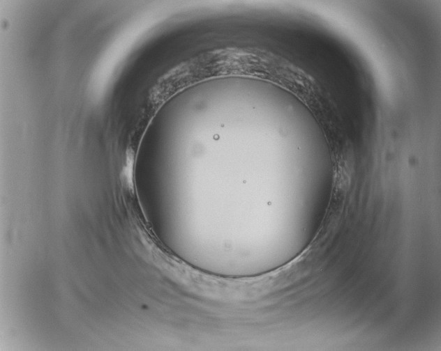 X0000057060047200509231543