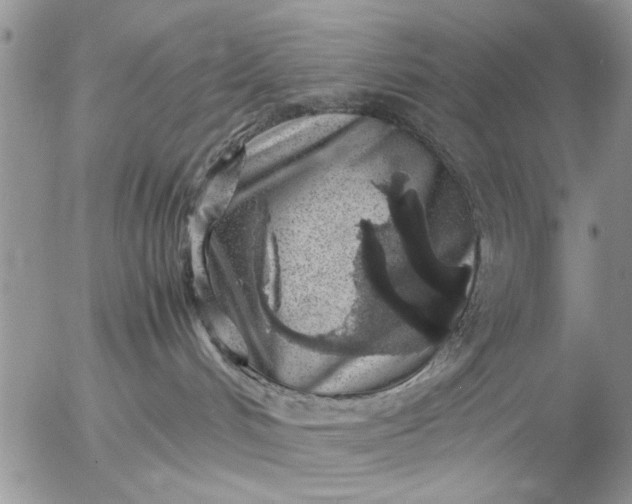 X0000057060048200509231543