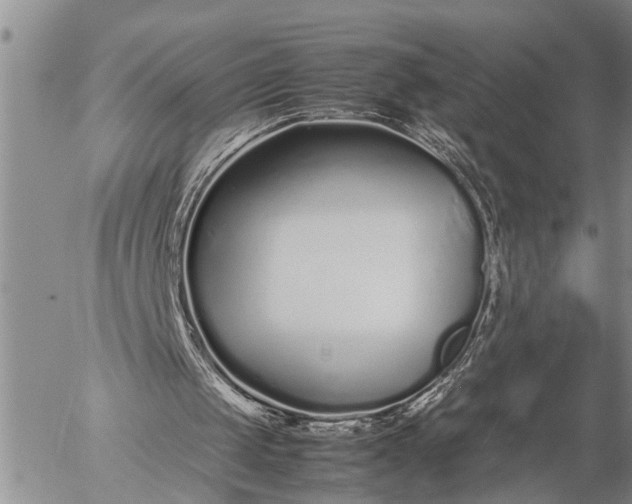 X0000057060049200509231542