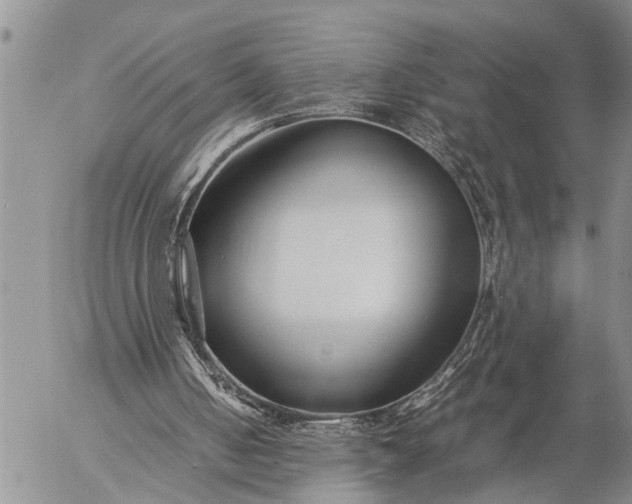 X0000057060050200509231542