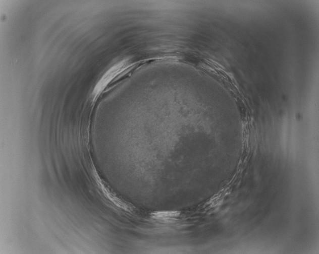 X0000057060051200509231542