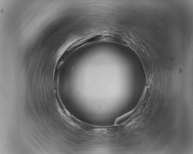 X0000057060052200509231542