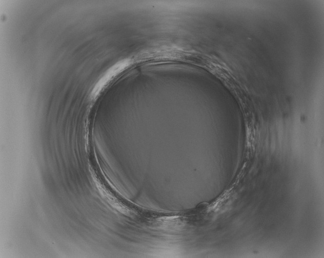 X0000057060054200509231542