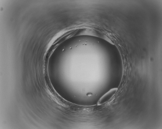 X0000057060056200509231543