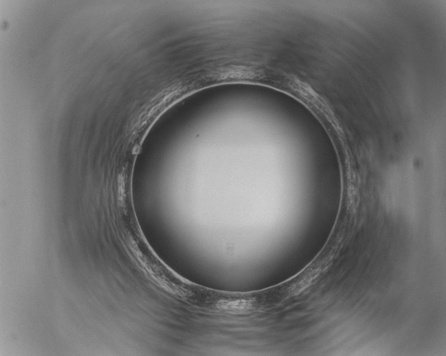 X0000057060057200509231543