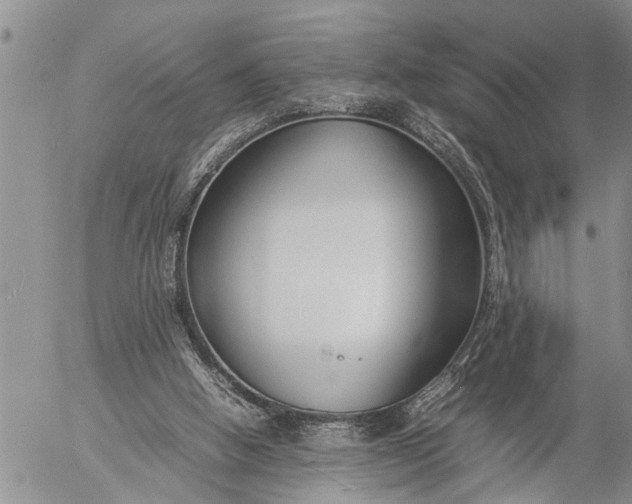 X0000057060058200509231543