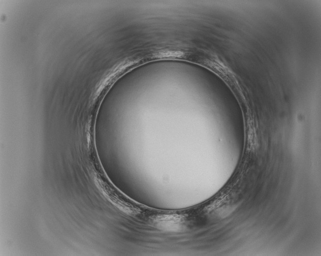 X0000057060059200509231543