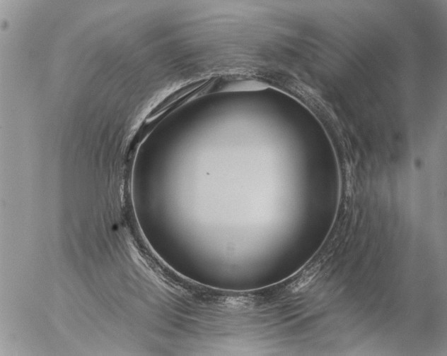 X0000057060060200509231543