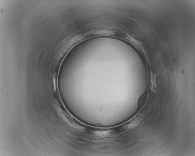 X0000057060061200509231543