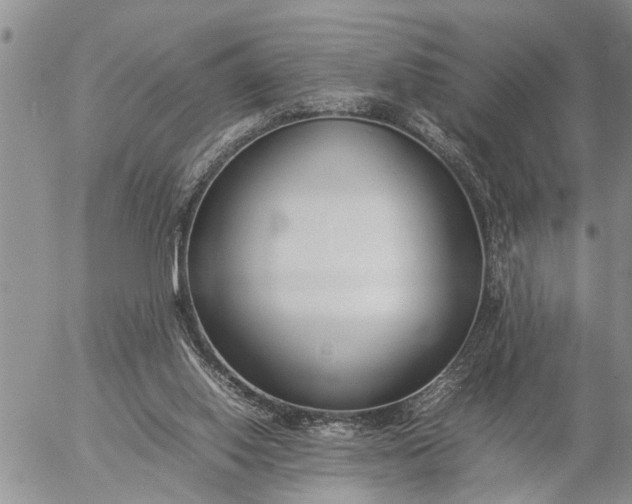 X0000057060062200509231543