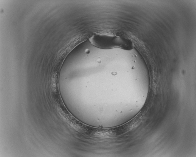 X0000057060065200509231543