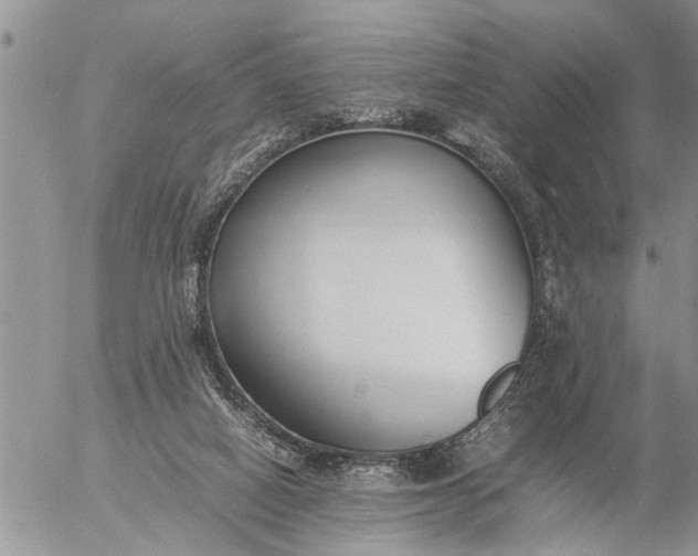 X0000057060066200509231543