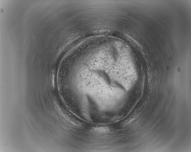 X0000057060067200509231543