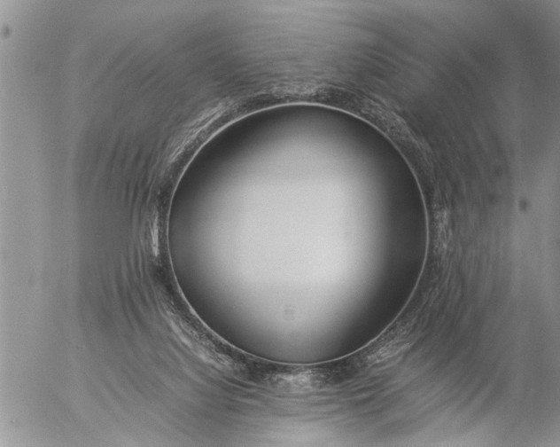 X0000057060068200509231543