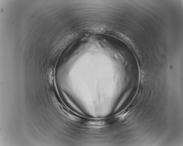 X0000057060069200509231543