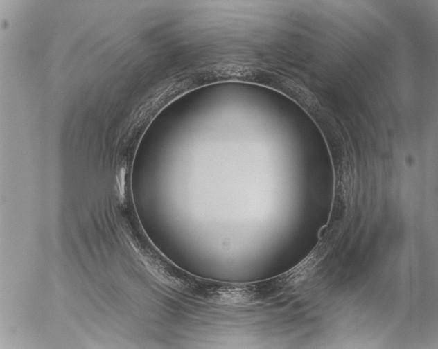 X0000057060070200509231543