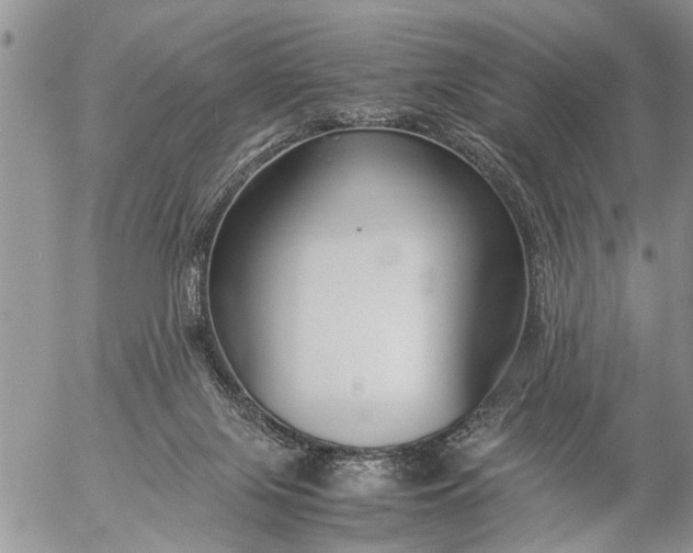 X0000057060071200509231543