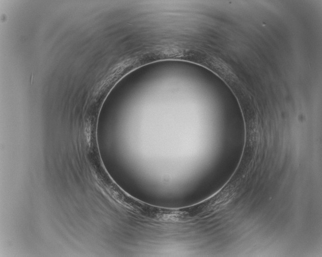 X0000057060072200509231543