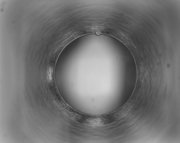 X0000057060075200509231543